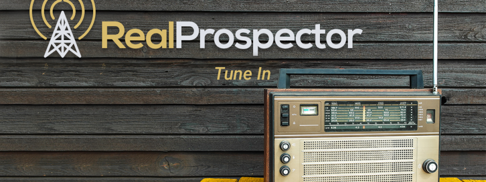 Real Prospector Radio Show: Episode 14, Alabama and Georgia Real Estate with Regina Palmer